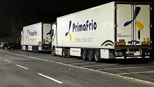 Un Empresario Valenciano Presenta 13 Demandas Contra Primafrio por una Reclamación de IVA Millonaria 6 436658277 817993787025814 6239848619289716485 n